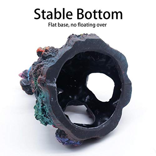 Your one-stop shop for diverse, top-quality aquarium supplies and accessories