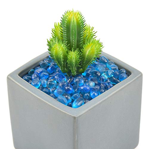 Your one-stop shop for diverse, top-quality aquarium supplies and accessories