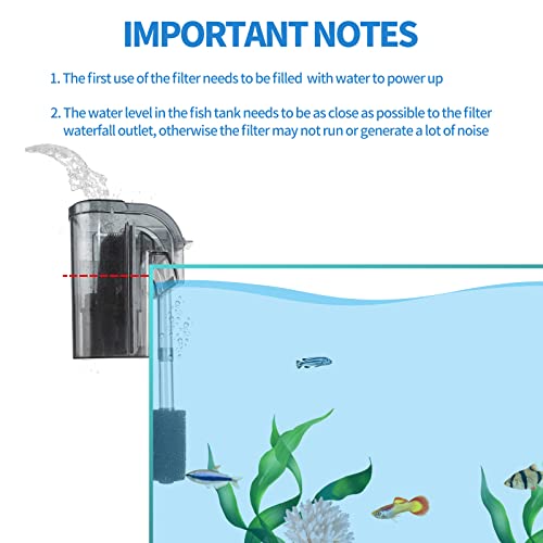 Your one-stop shop for diverse, top-quality aquarium supplies and accessories