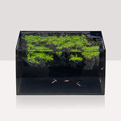 Your one-stop shop for diverse, top-quality aquarium supplies and accessories