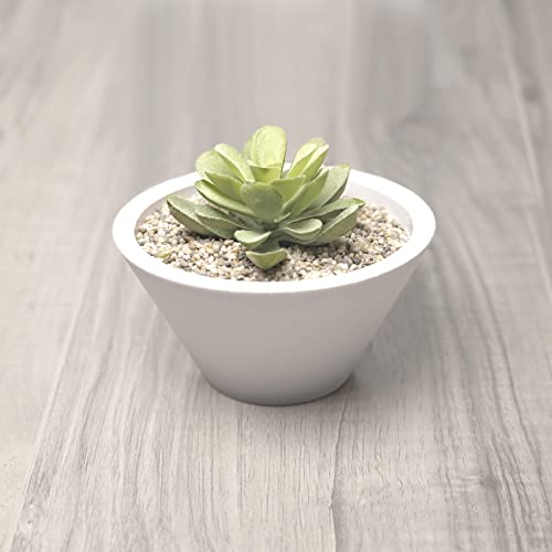 Your one-stop shop for diverse, top-quality aquarium supplies and accessories