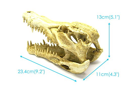 Your one-stop shop for diverse, top-quality aquarium supplies and accessories