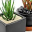 Your one-stop shop for diverse, top-quality aquarium supplies and accessories