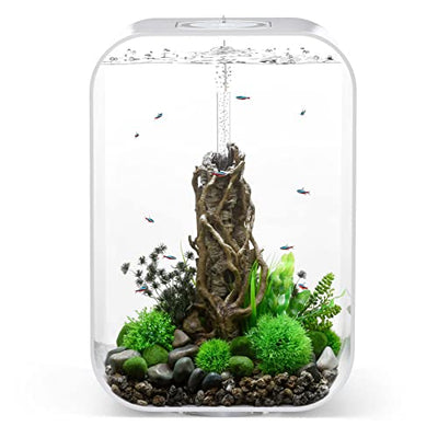 Your one-stop shop for diverse, top-quality aquarium supplies and accessories