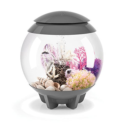 Your one-stop shop for diverse, top-quality aquarium supplies and accessories
