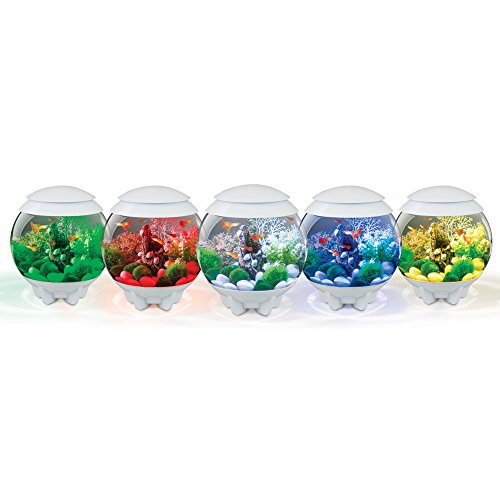 Your one-stop shop for diverse, top-quality aquarium supplies and accessories