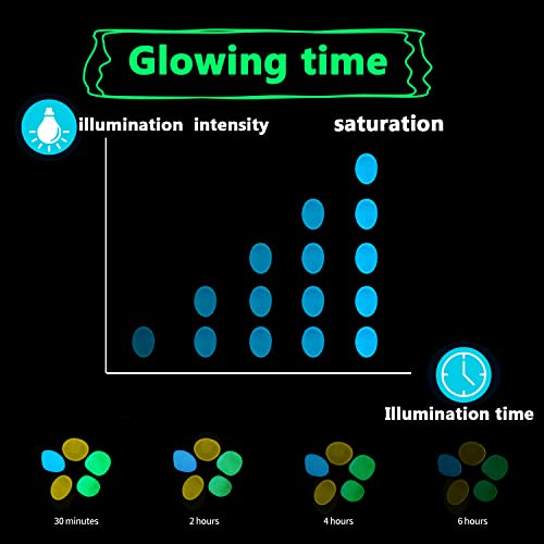 Your one-stop shop for diverse, top-quality aquarium supplies and accessories