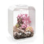 Your one-stop shop for diverse, top-quality aquarium supplies and accessories