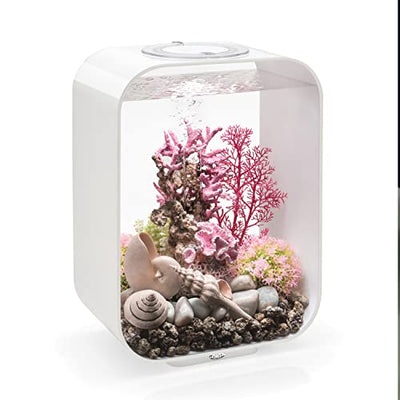 Your one-stop shop for diverse, top-quality aquarium supplies and accessories