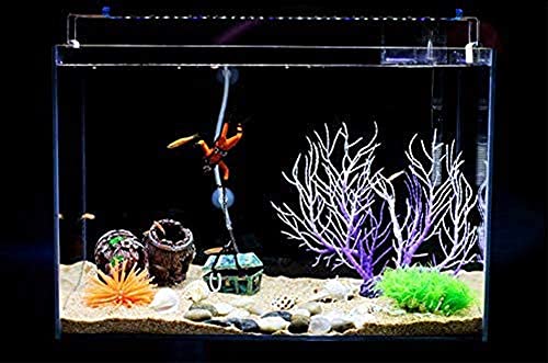 Your one-stop shop for diverse, top-quality aquarium supplies and accessories
