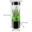 Your one-stop shop for diverse, top-quality aquarium supplies and accessories