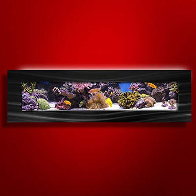 Your one-stop shop for diverse, top-quality aquarium supplies and accessories