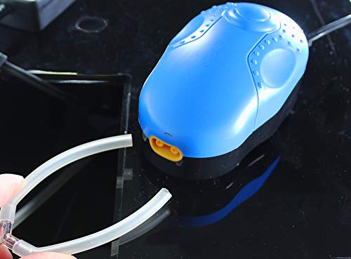 Your one-stop shop for diverse, top-quality aquarium supplies and accessories