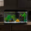 Your one-stop shop for diverse, top-quality aquarium supplies and accessories