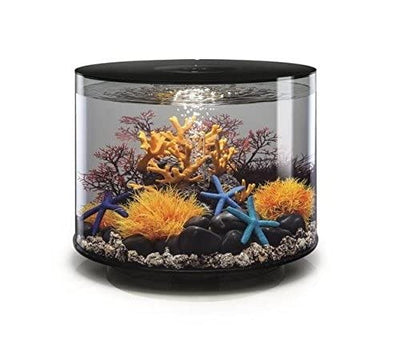Your one-stop shop for diverse, top-quality aquarium supplies and accessories