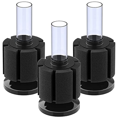 Your one-stop shop for diverse, top-quality aquarium supplies and accessories
