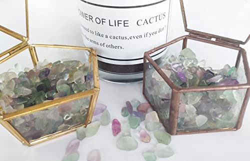 Your one-stop shop for diverse, top-quality aquarium supplies and accessories