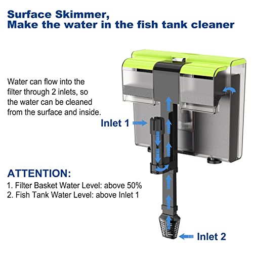 Your one-stop shop for diverse, top-quality aquarium supplies and accessories