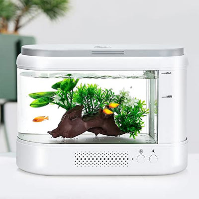 Your one-stop shop for diverse, top-quality aquarium supplies and accessories