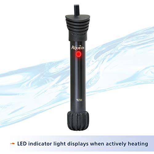 Your one-stop shop for diverse, top-quality aquarium supplies and accessories