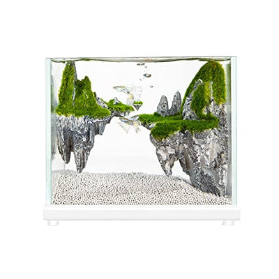 Your one-stop shop for diverse, top-quality aquarium supplies and accessories