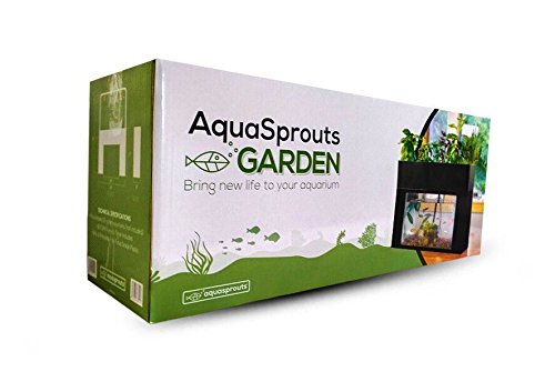 Your one-stop shop for diverse, top-quality aquarium supplies and accessories