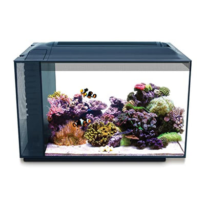 Your one-stop shop for diverse, top-quality aquarium supplies and accessories