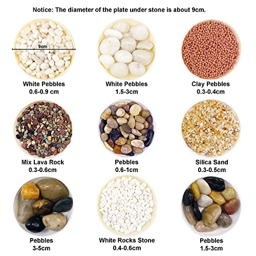 Your one-stop shop for diverse, top-quality aquarium supplies and accessories