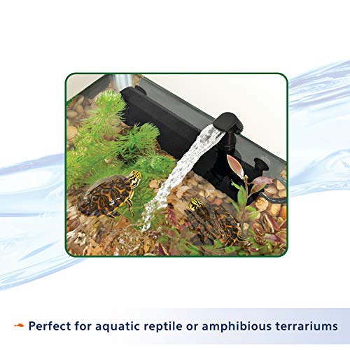 Your one-stop shop for diverse, top-quality aquarium supplies and accessories