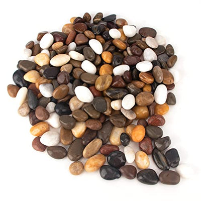 Your one-stop shop for diverse, top-quality aquarium supplies and accessories