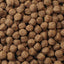 Your one-stop shop for diverse, top-quality aquarium supplies and accessories