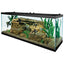 Your one-stop shop for diverse, top-quality aquarium supplies and accessories