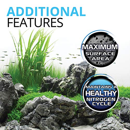 Your one-stop shop for diverse, top-quality aquarium supplies and accessories