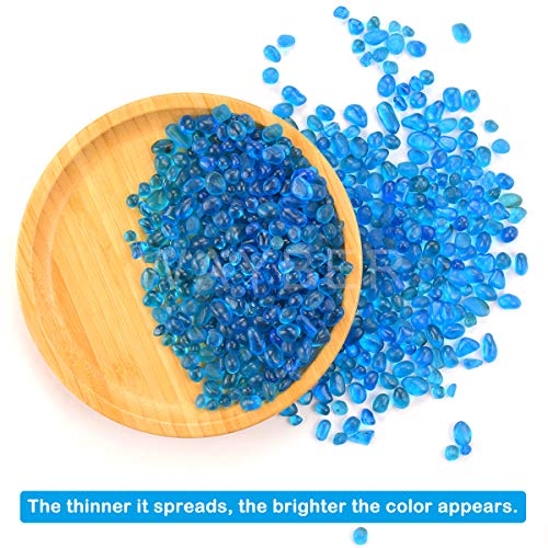 Your one-stop shop for diverse, top-quality aquarium supplies and accessories