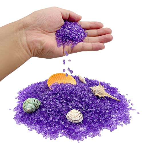 Your one-stop shop for diverse, top-quality aquarium supplies and accessories