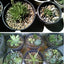 Your one-stop shop for diverse, top-quality aquarium supplies and accessories