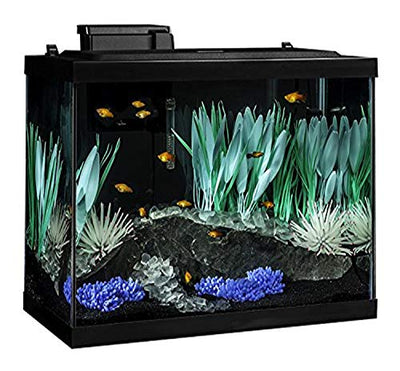 Your one-stop shop for diverse, top-quality aquarium supplies and accessories