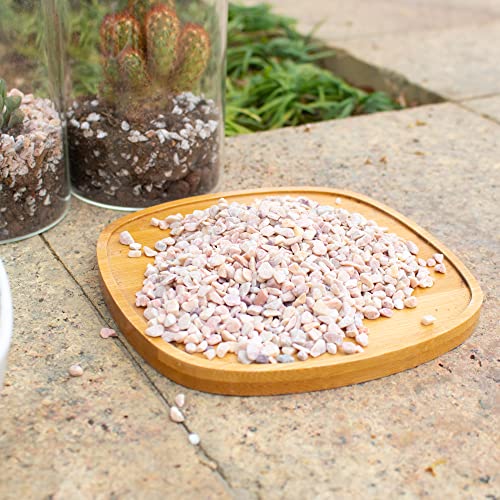 Your one-stop shop for diverse, top-quality aquarium supplies and accessories