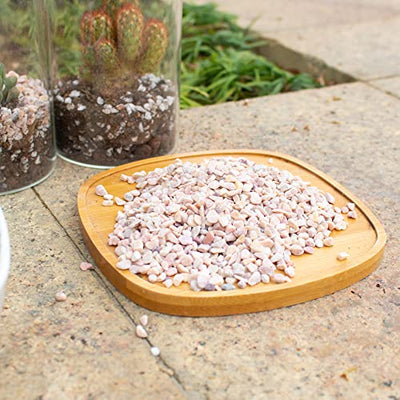 Your one-stop shop for diverse, top-quality aquarium supplies and accessories