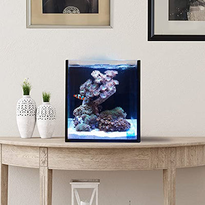 Your one-stop shop for diverse, top-quality aquarium supplies and accessories