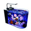 Your one-stop shop for diverse, top-quality aquarium supplies and accessories