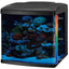 Your one-stop shop for diverse, top-quality aquarium supplies and accessories
