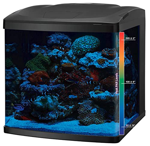 Your one-stop shop for diverse, top-quality aquarium supplies and accessories