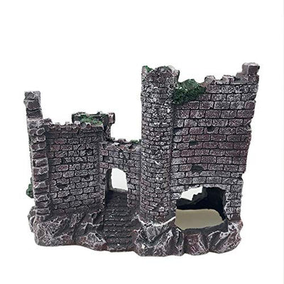 Your one-stop shop for diverse, top-quality aquarium supplies and accessories