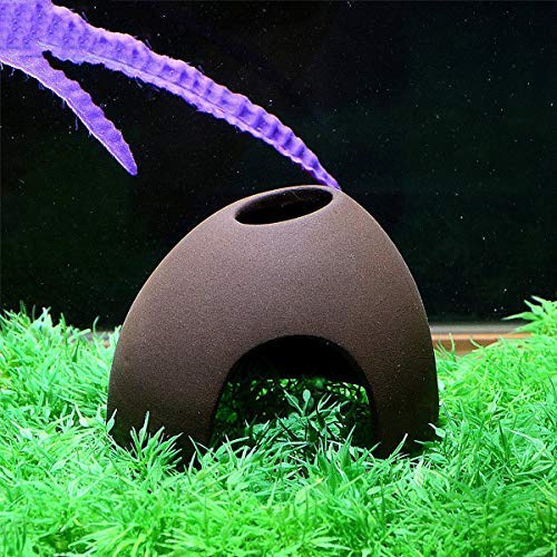 Your one-stop shop for diverse, top-quality aquarium supplies and accessories