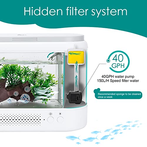 Your one-stop shop for diverse, top-quality aquarium supplies and accessories