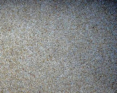 Your one-stop shop for diverse, top-quality aquarium supplies and accessories