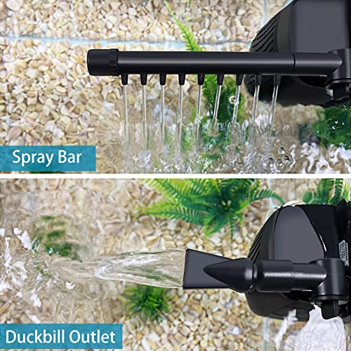Your one-stop shop for diverse, top-quality aquarium supplies and accessories