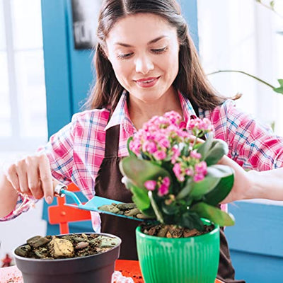 Your one-stop shop for diverse, top-quality aquarium supplies and accessories