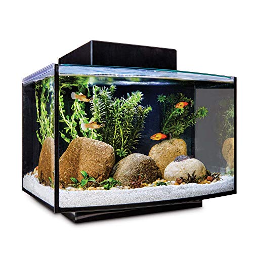 Your one-stop shop for diverse, top-quality aquarium supplies and accessories